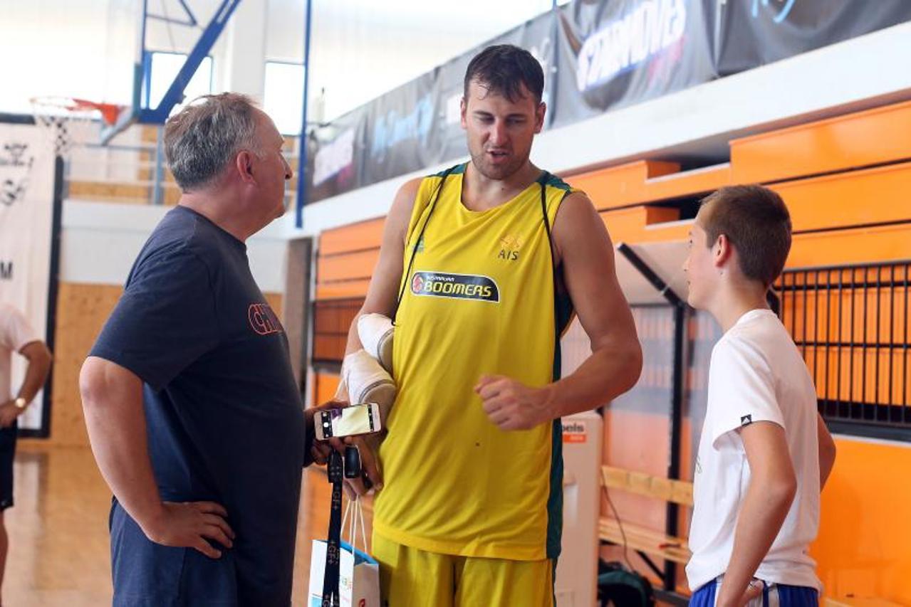 Bogut