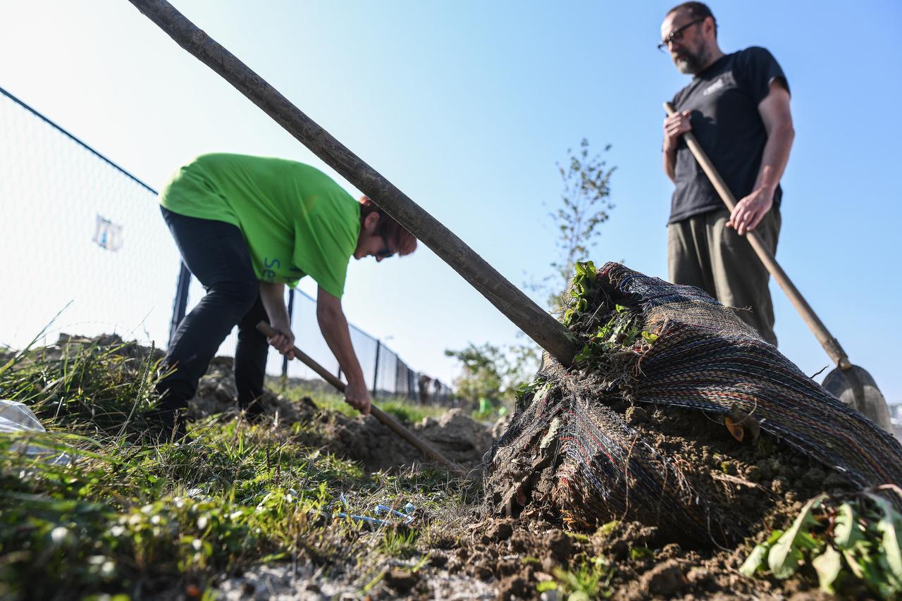 Zagreb: Udruga Zelene i plave Sesvete organizirala akciju sadnje stabala