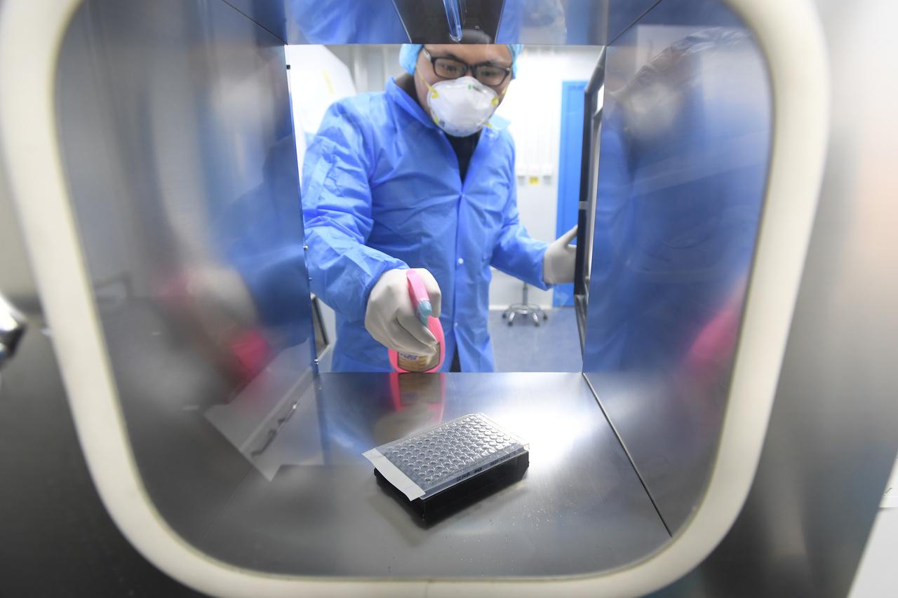 Worker in protective suit examines specimens inside a laboratory following an outbreak of the novel coronavirus in Wuhan