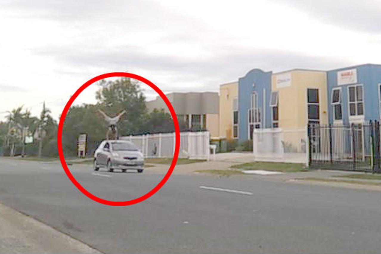 Izvodio stoj na rukama na krovu automobila u pokretu