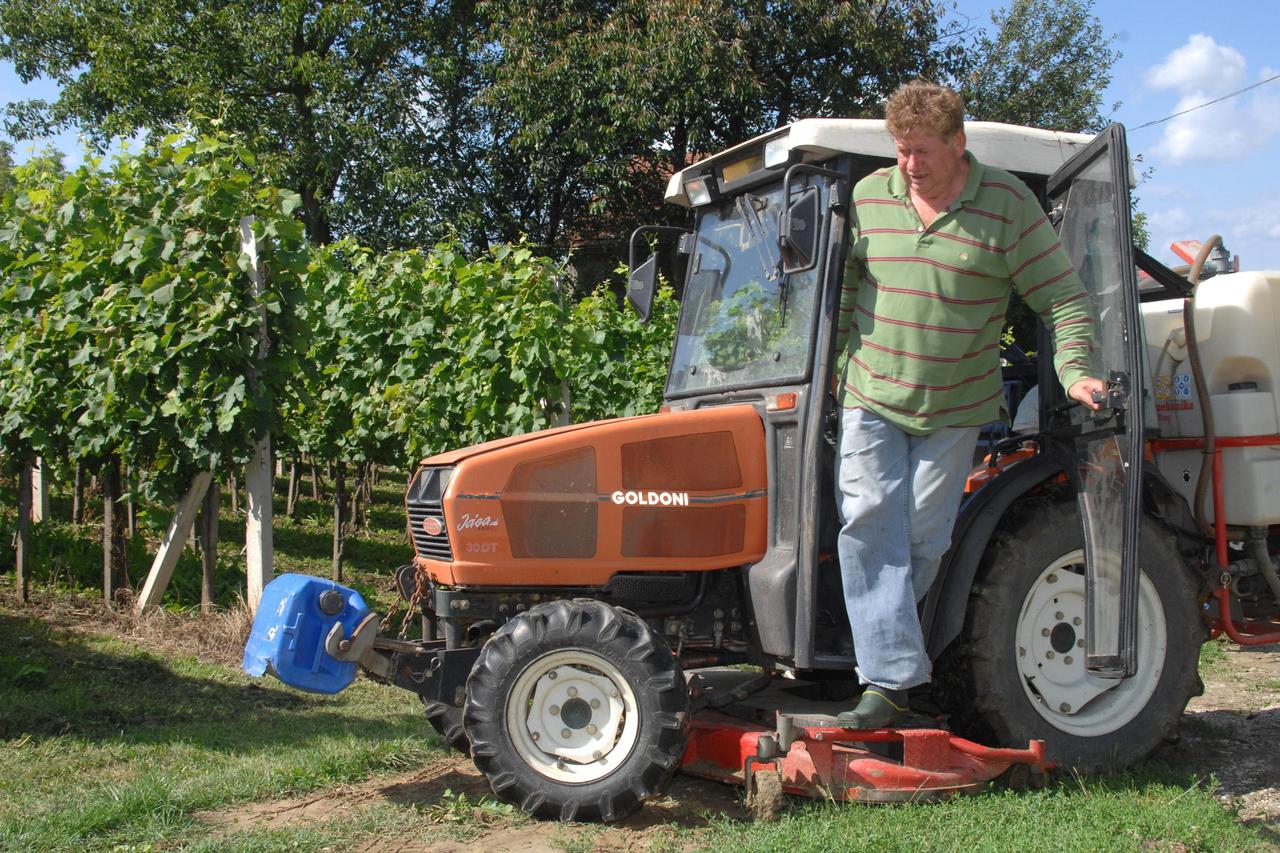 13.07.2014., Cepelovac - Visnja Pevec i Zdravko Pevec, koji su se povukli iz javnosti svoj mir pronalaze u prirodnom okruzenju nedaleko Bjelovara, a najbolje se osjecaju kada nesto rade, pa im se tako na popisu svakodnevnih obveza naslo i obradjivanje vin