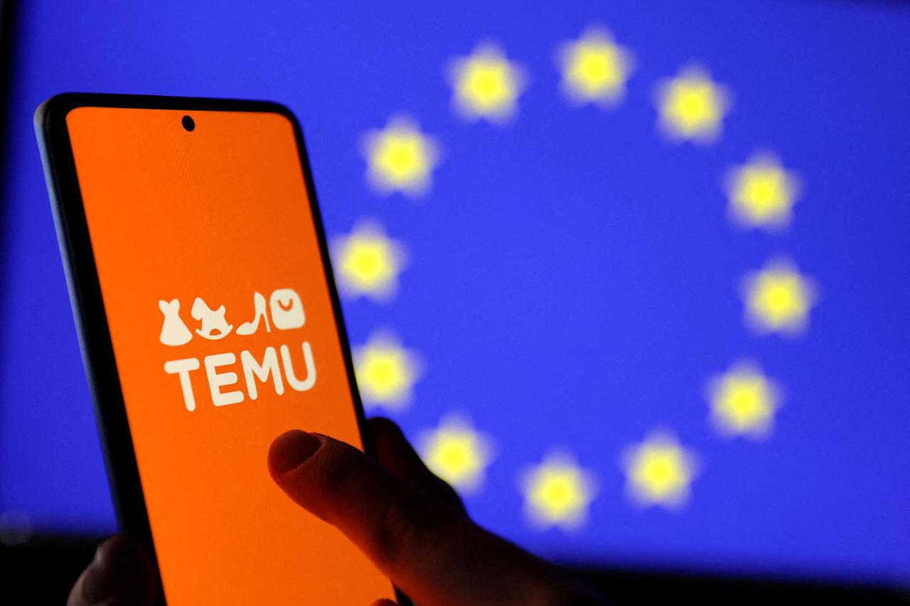 FILE PHOTO: Illustration shows Temu logo and EU flag