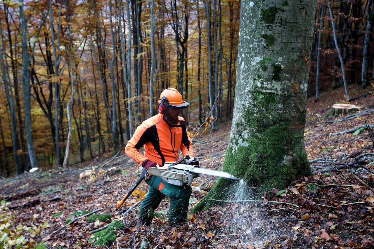Ogulin: Radnici Hrvatskih šuma koriste novu žičaru za izvlačenje stabala iz šume