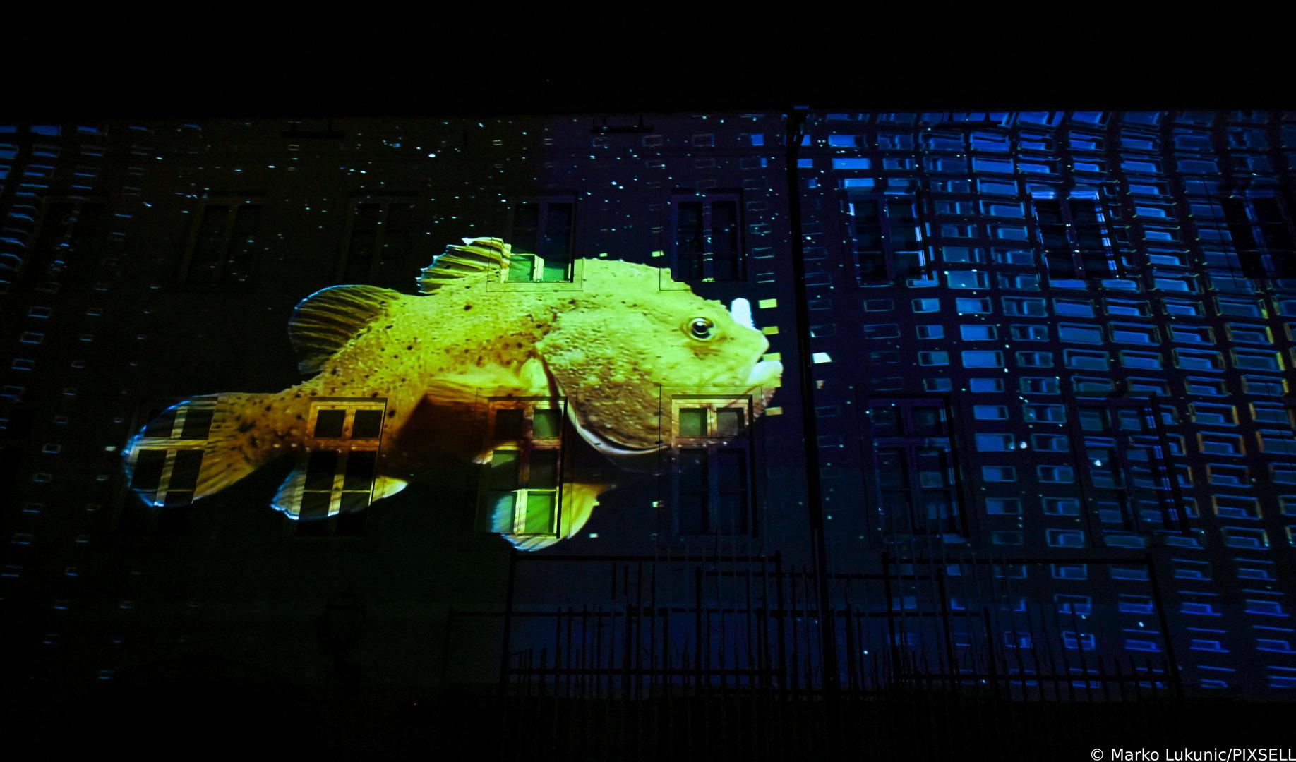 Grad će u idućih pet dana, sve do 22. ožujka, biti domaćin svjetlosnih instalacija na dvadesetak lokacija. 