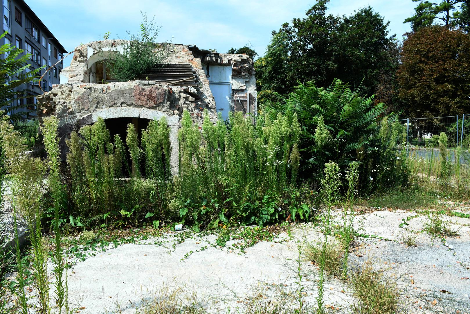 Riječ je o građevinama koje su srušene nakon potresa, a koje se još ne objavljaju pa ih je prekrio korov.