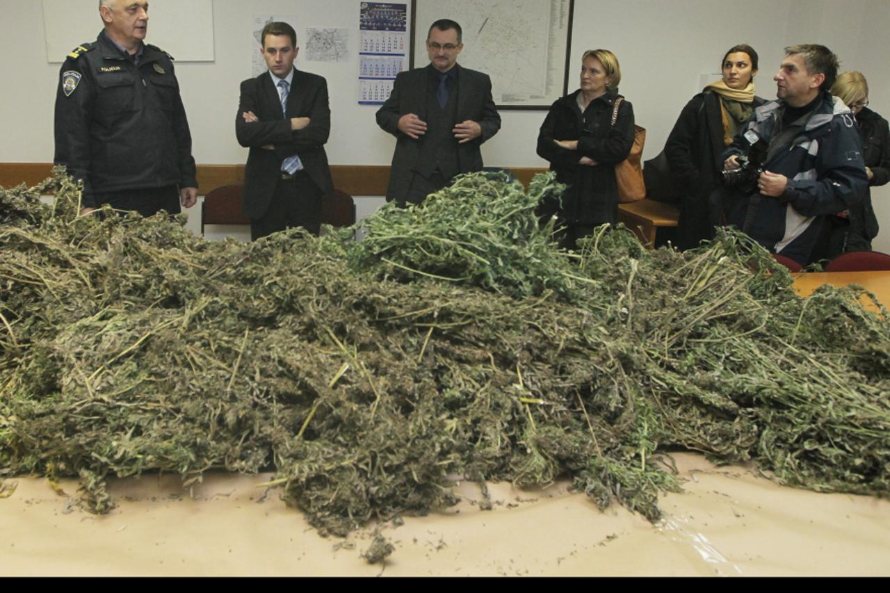 marihuana, koprivnica (1)