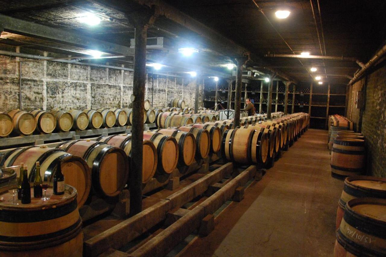 VINO