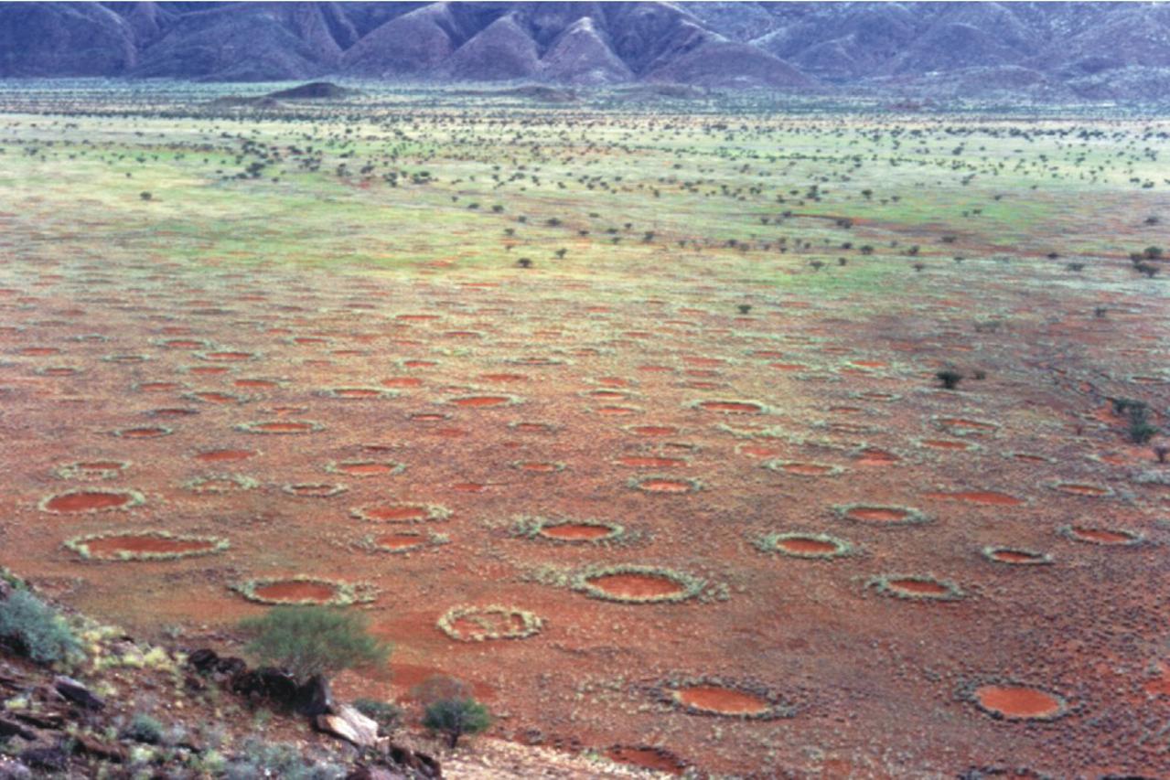Vilinski krugovi u Namibiji