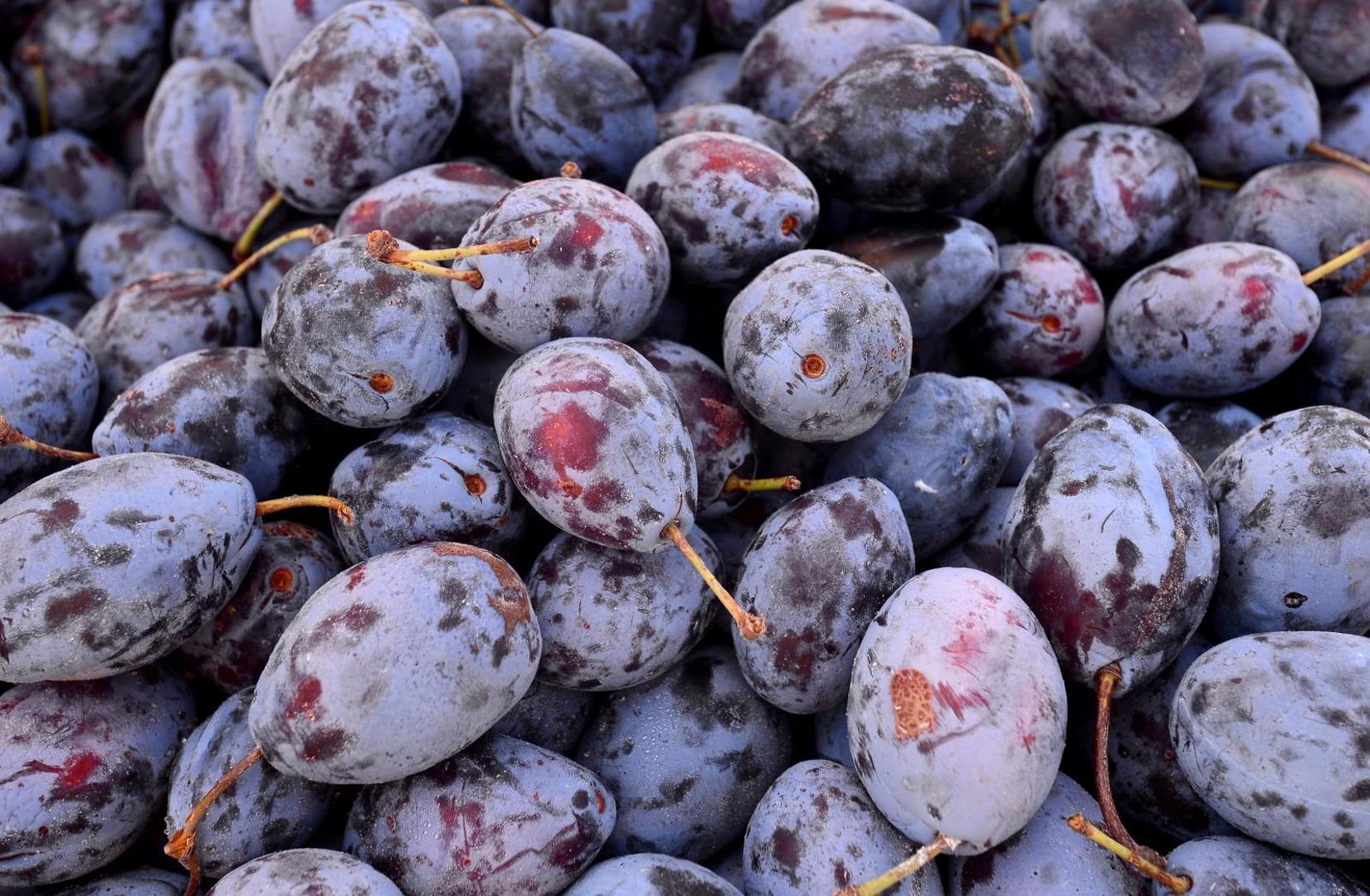 7. ŠLJIVE - Ovo ljubičasto voće utažit će vašu glad, bilo kao međuobrok ili kao zamjena za čokoladice i ostale "slatke" artikle. Šljive utječu na bolje pamćenje i jačaju kosti. Možete ih konzumirati tijekom cijele godine, najčešće u obliku suhog voća.