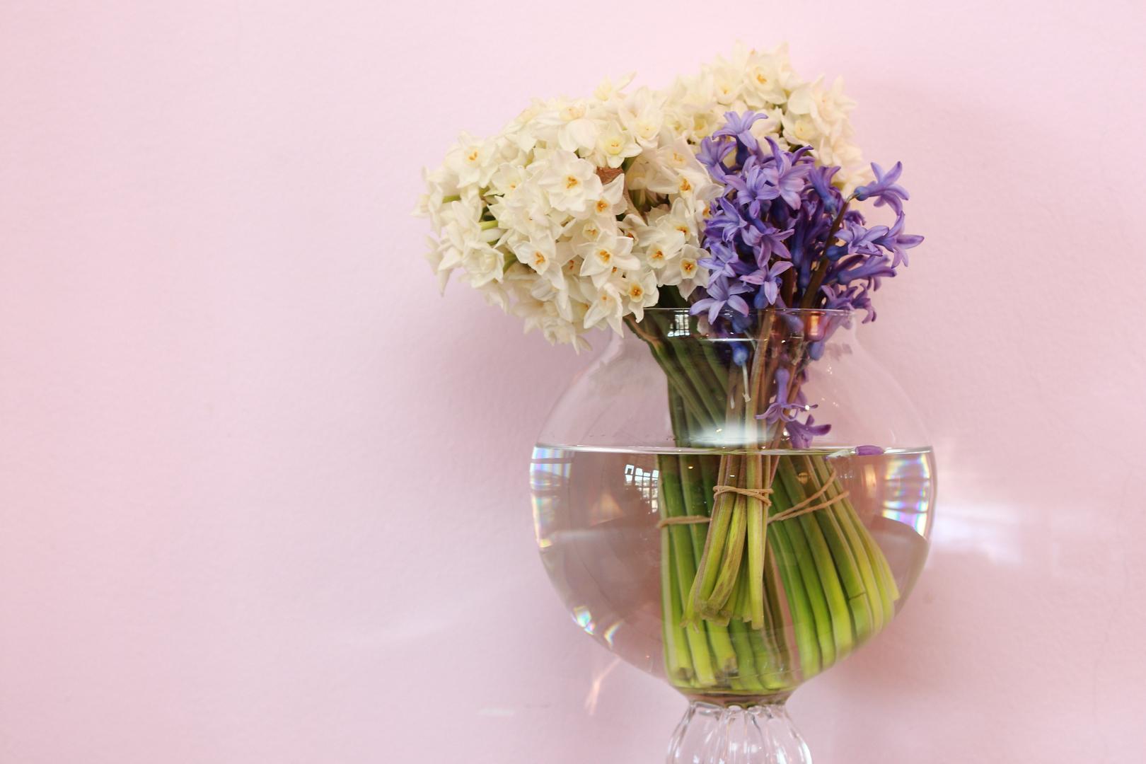 3. Limunadom produžite život cvijeću - Piće može imati antibakterijska svojstva, a šećer može hraniti bil