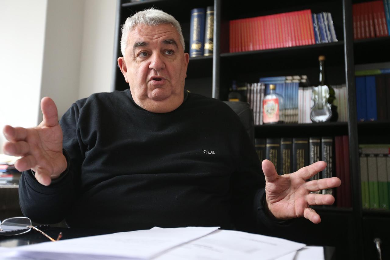 Ivan Zvonimir Čičak