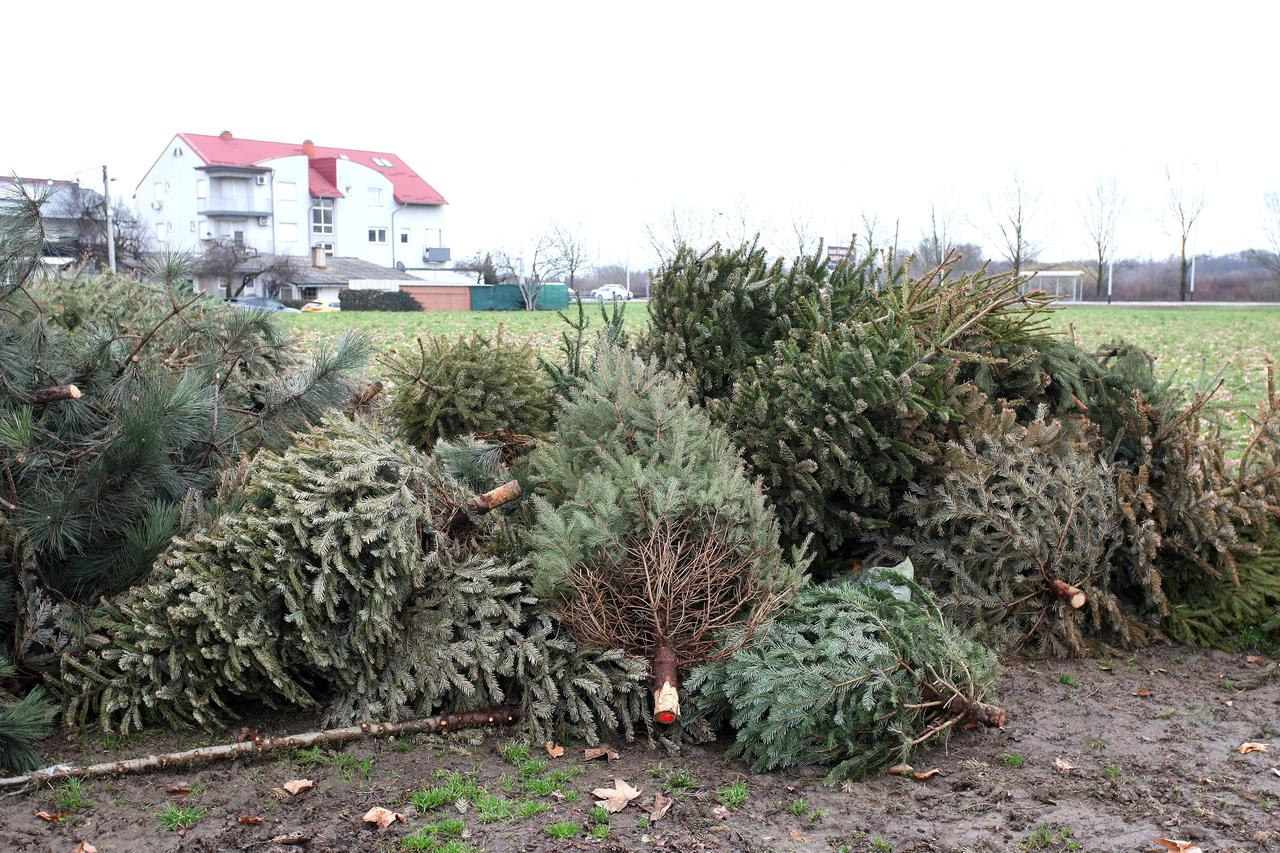 Zagreb: U Retkovcu odbačeni borovi još nisu pokupljeni