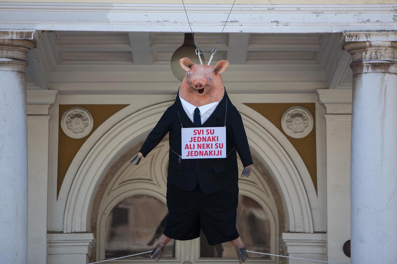 HNK Rijeka,svinjska glava