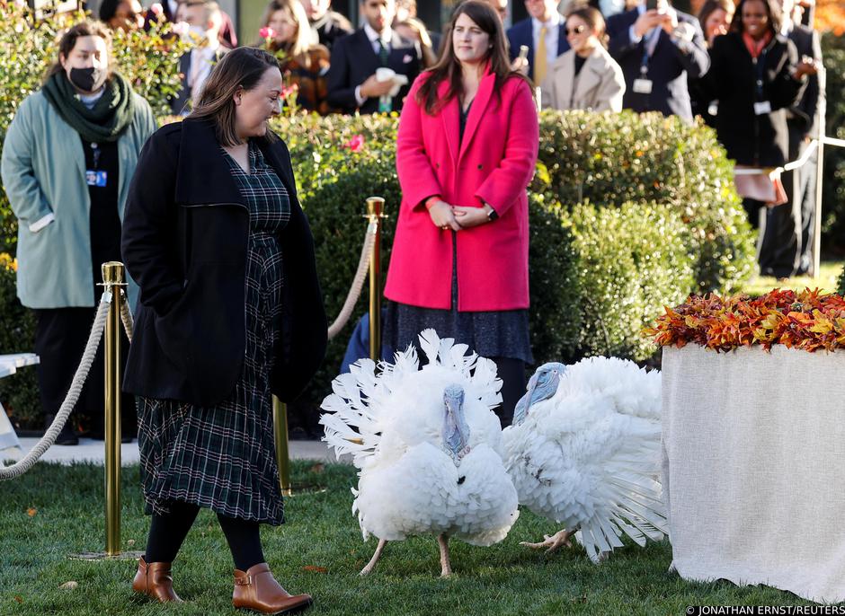 U.S. President Joe Biden hosts the 74th National Thanksgiving Turkey Presentation at the White House in Washington