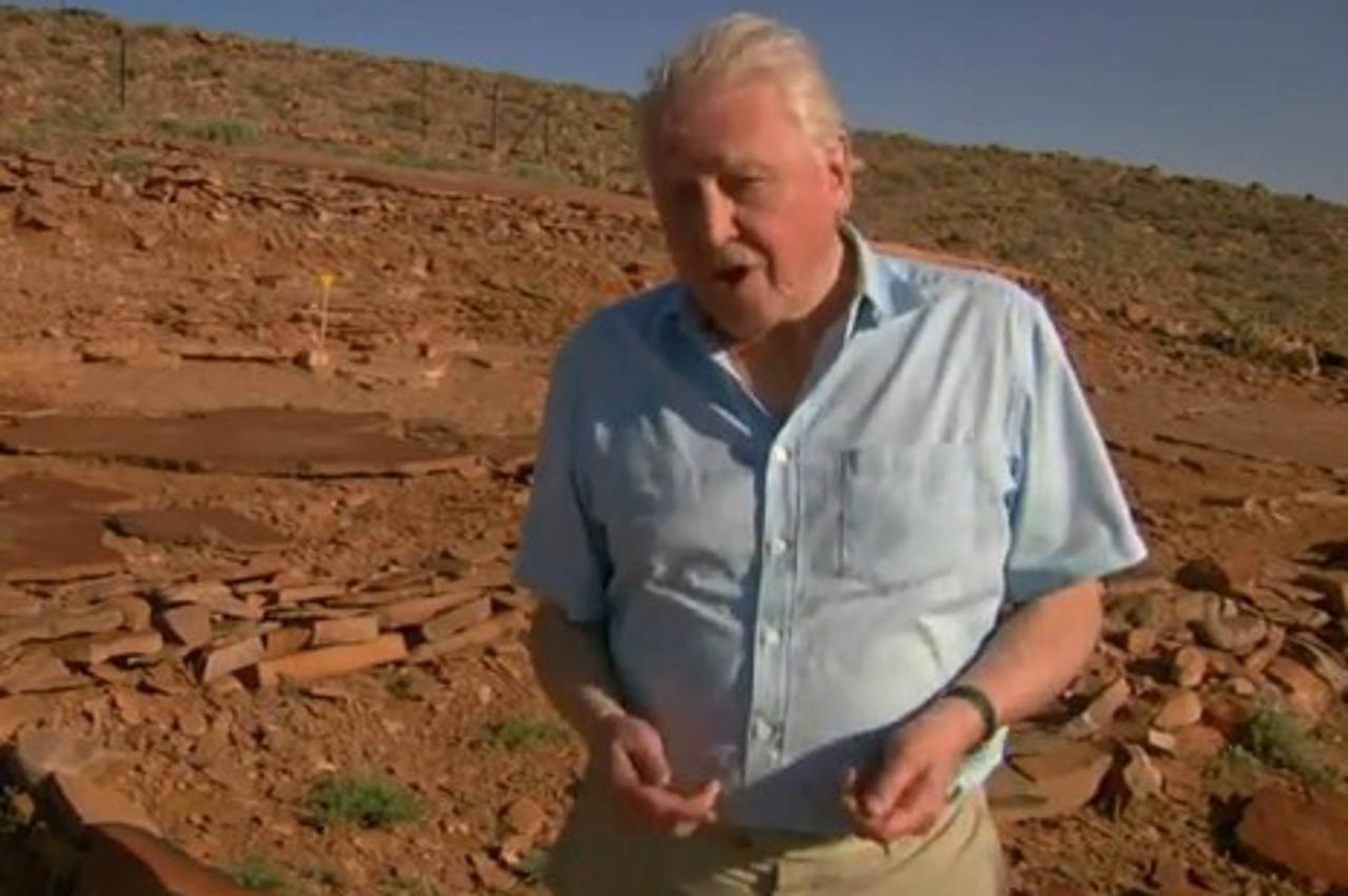 david attenborough
