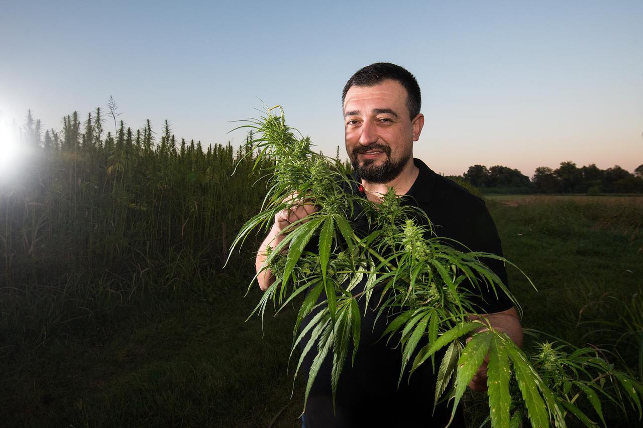 Koprivnica: Tvrtka Greenbird medical