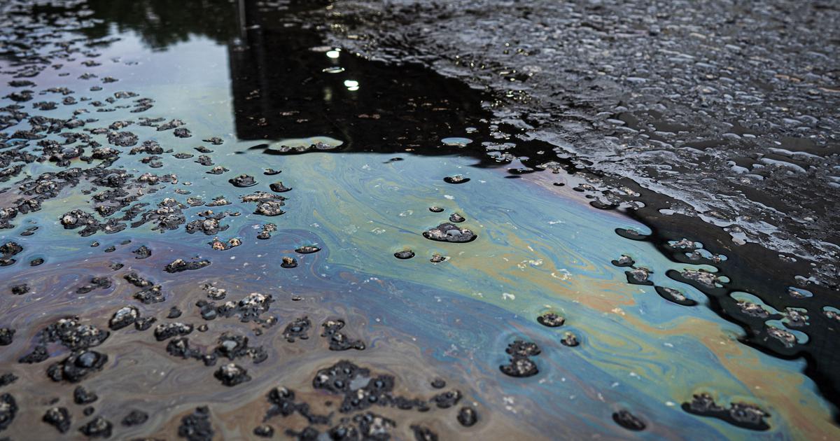 Obolijevaju bez objašnjenja, ugibaju im ljubimci... U krvi stanovnika pronađene visoke razine PFAS-a, sada strahuju da im je hrana otrovana