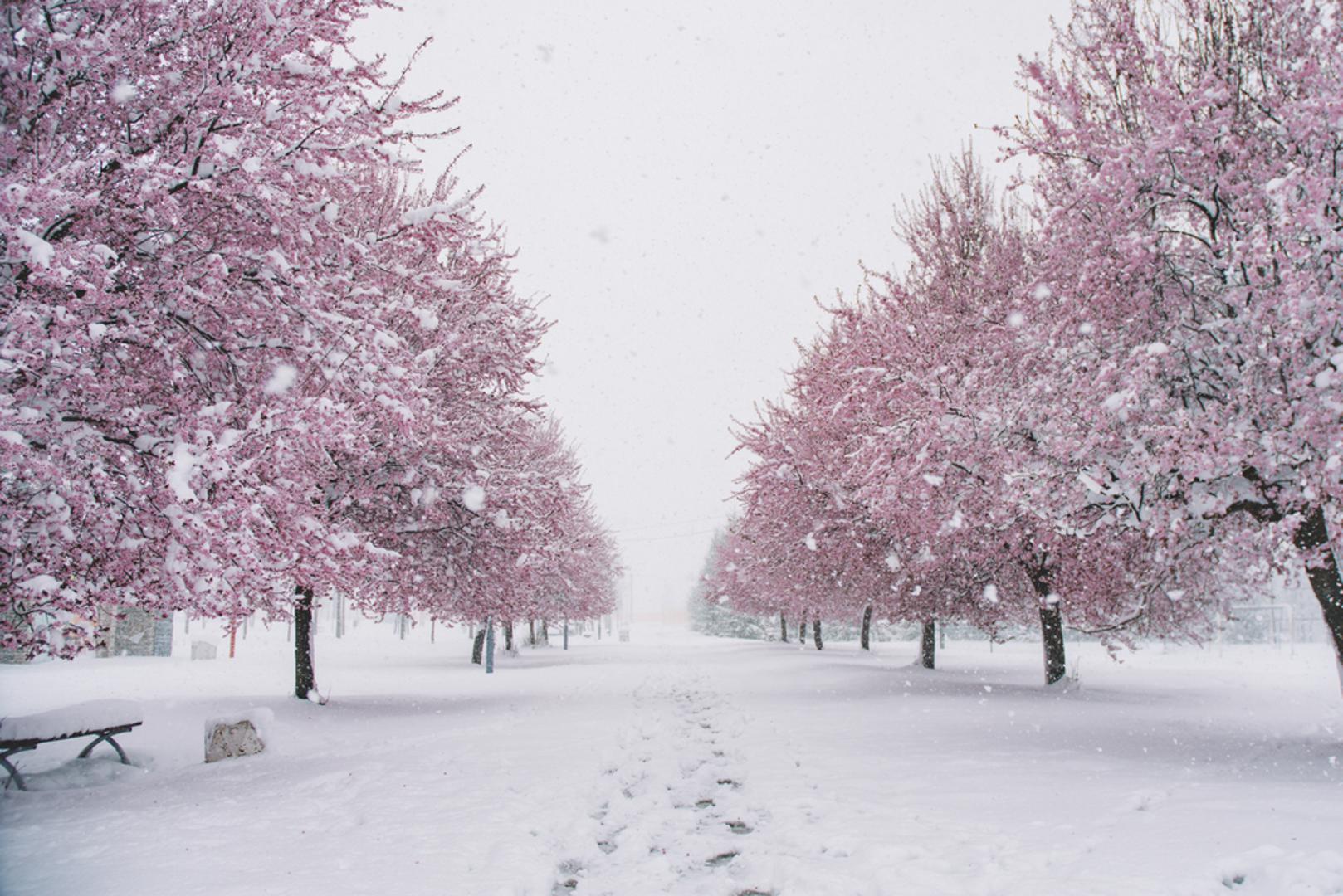 HAARP upravlja vremenom i potresima: Sljedbenici čudnog drže da antene na Aljasci 'pomiču' oluje i tektonske ploče. U stvarnosti, riječ je o istraživačkom objektu za ionosferu, snage zanemarive prema prirodnim procesima; elektromagnetski pokusi ne mogu izazvati potrese niti krojiti ciklone.