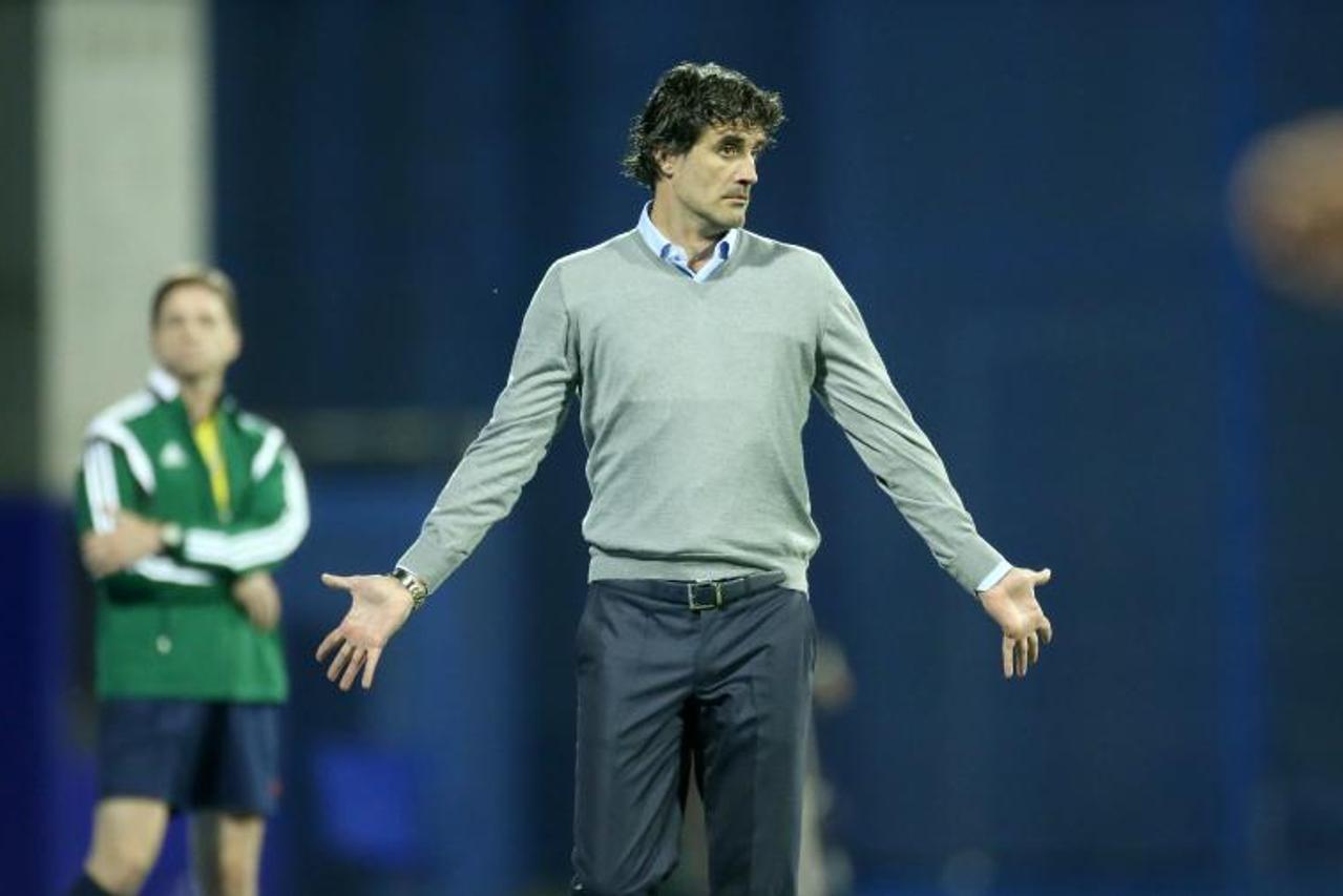 Zoran Mamić