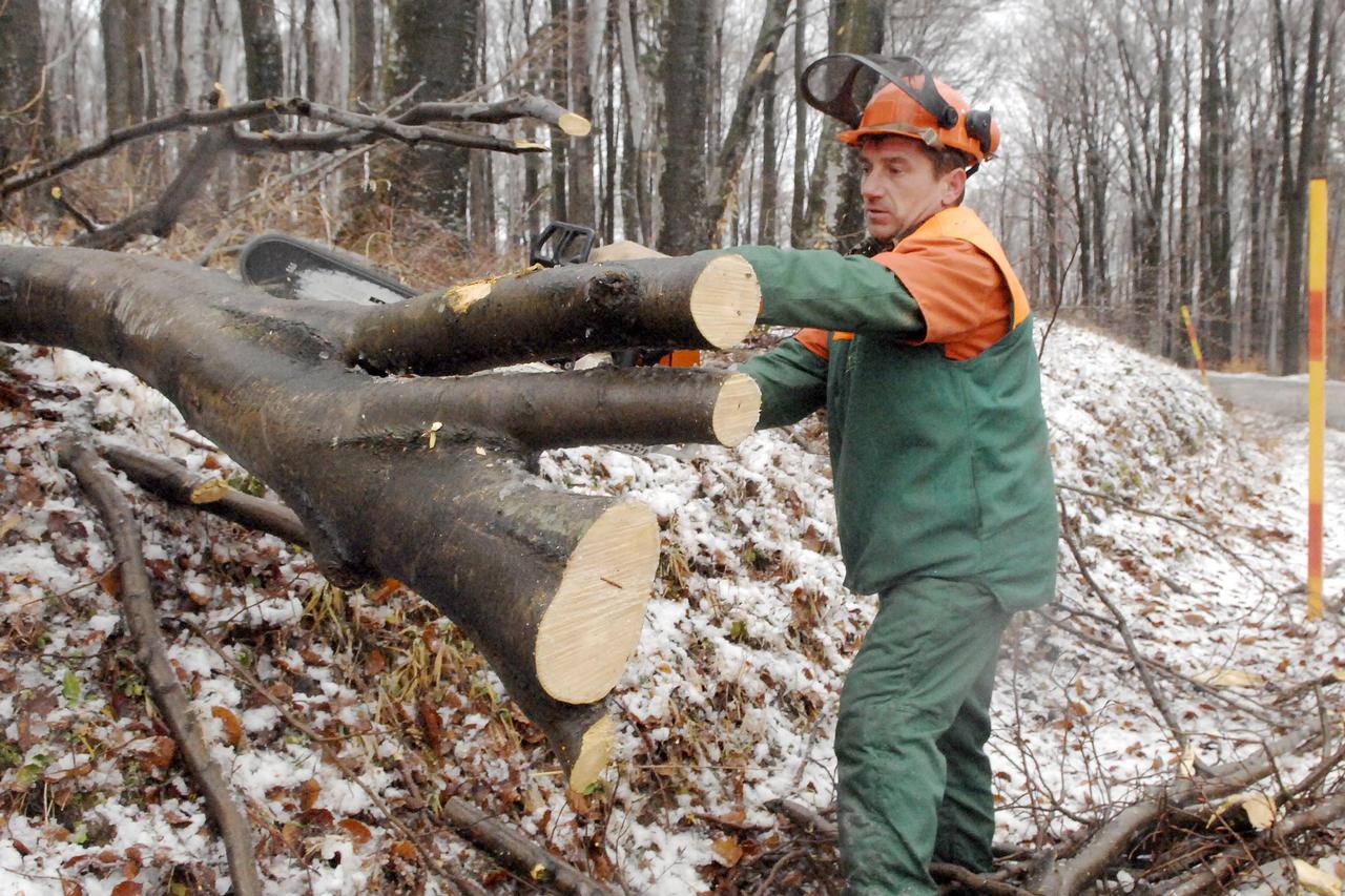 Sječa stabala Medvednice