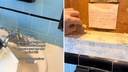 VIDEO Krenuli renovirati kupaonicu pa iza tapeta pronašli jezivu poruku: 'Sretno novoj žrtvi'