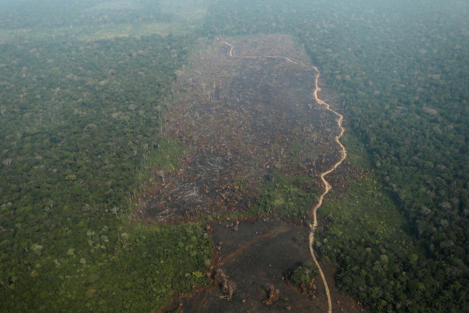 Požar u Amazoni