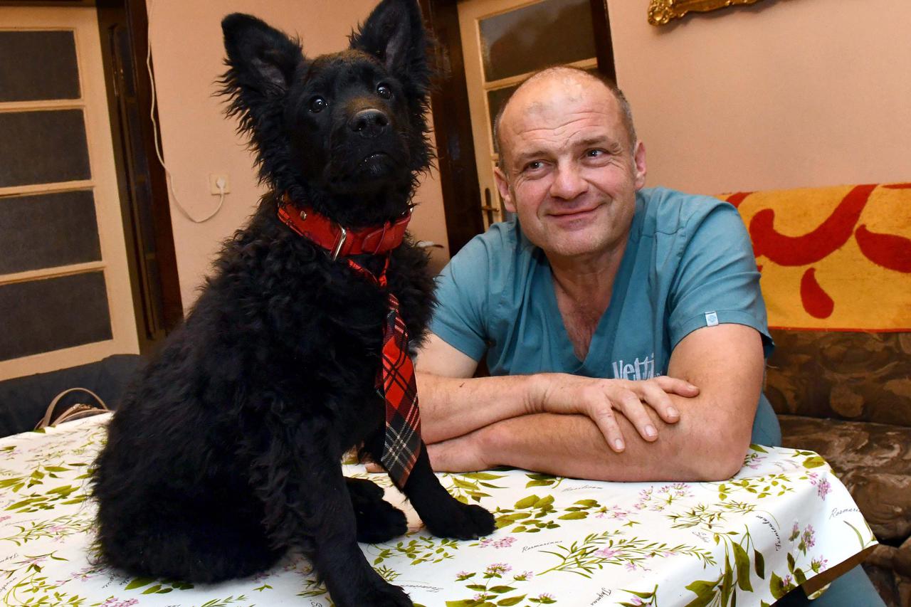 Slavonski Brod: Veterinar Hrvoje Mužević ponosni je vlasnik mladog hrvatskog ovčara