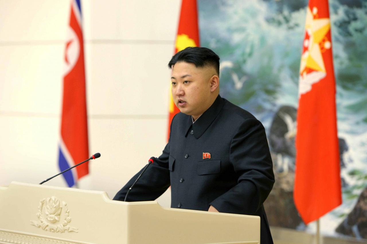 sjeverna koreja,portal,kim jong-un (1)