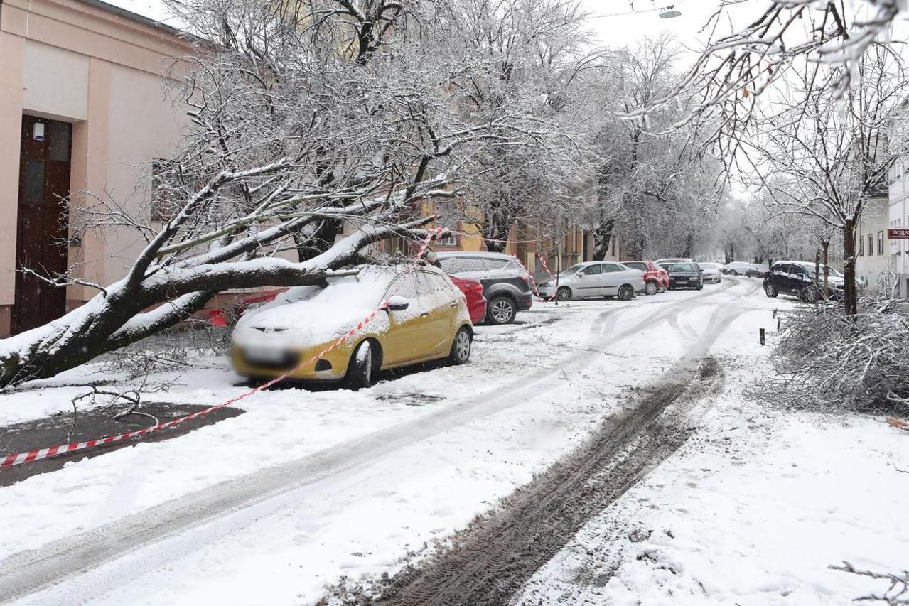 Na parkirani auto u Osijeku palo stablo