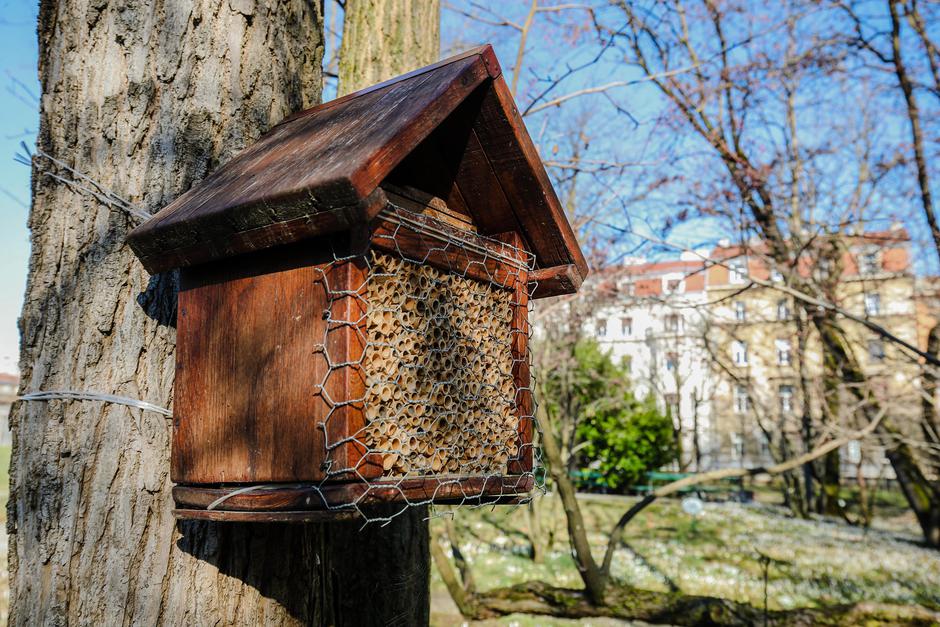 Zagreb: Botanički vrt će otvoriti svoja vrata sutra u srijedu