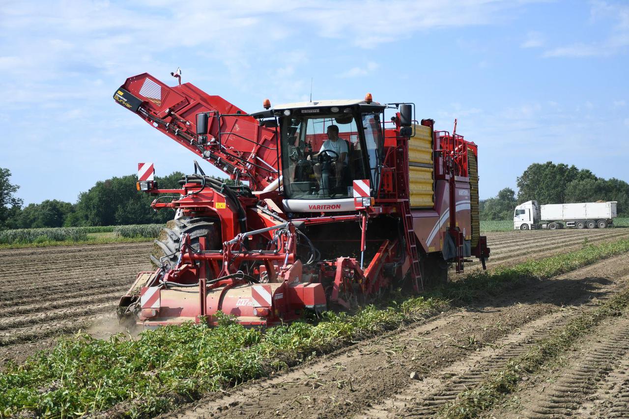 Garešnica: Na OPG-u Agro Puškarić počelo strojno vađenje krumipra najsuvremenijom mehanizacijom 