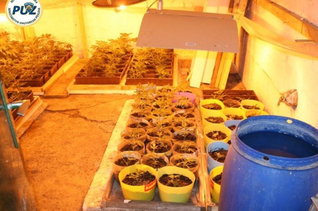 laboratoriji,droga,marihuana