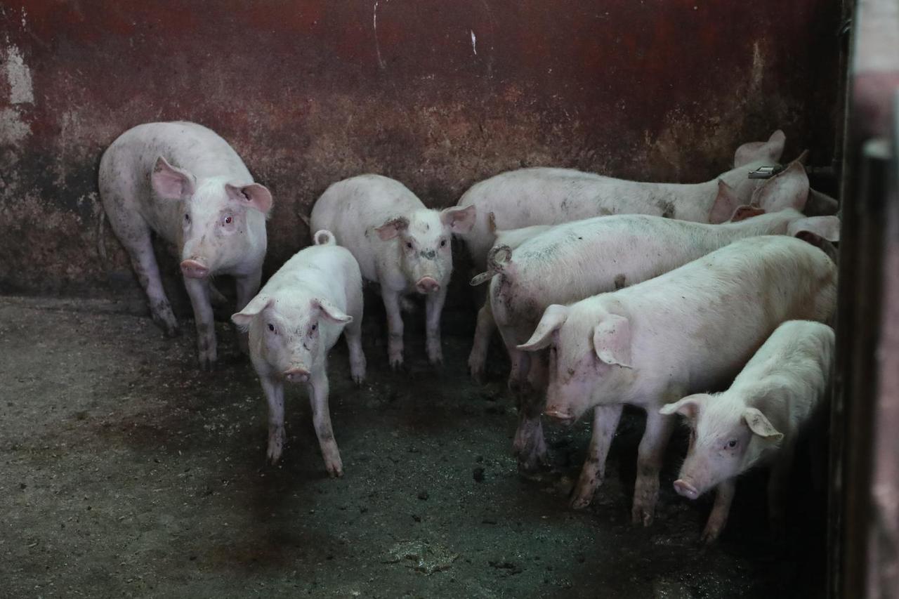 Novi Farkašić: OPG Ovanin