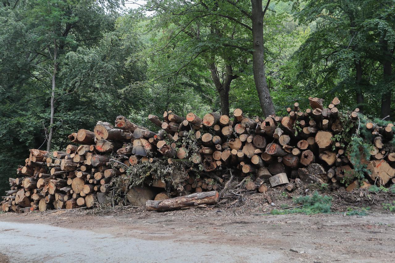 Zagreb: Tijekom izgradnje žičare velik dio šume na Medvednici je posječen