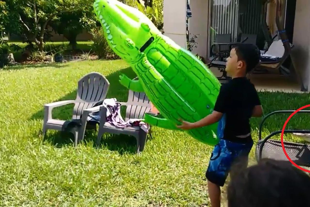 Nicole Mojica snimala je sina i - aligatora