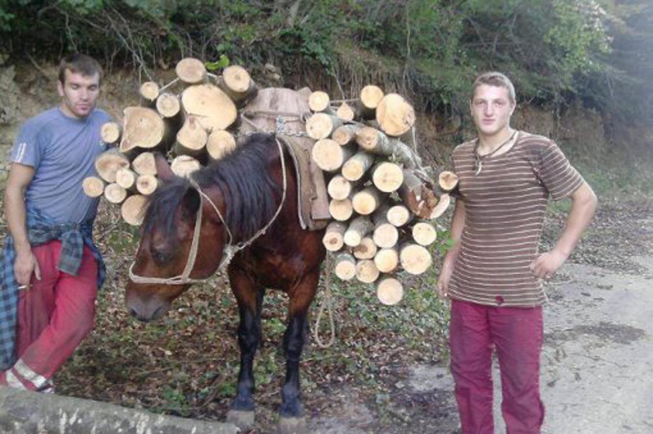 konji,mučenej,Velebit