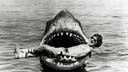 From 'Jaws' to 'Sharknado': The Best Shark Movies for a Summer Adrenaline Rush