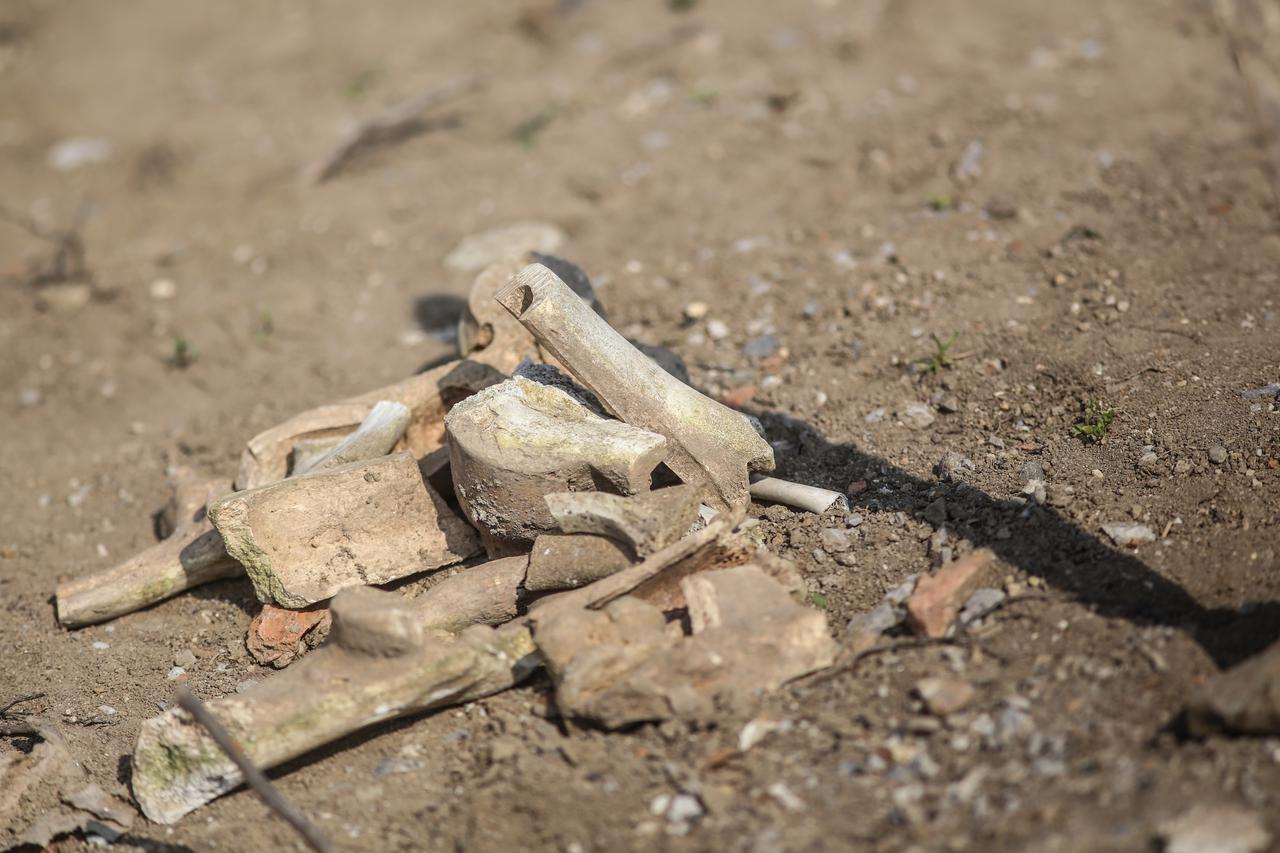 Zagreb: Nakon pronalaska kosti u Gračanima počelo je iskapanje