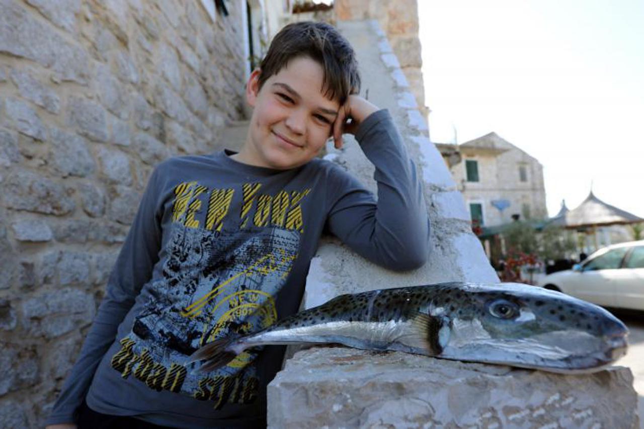 riba fuga,tribunj (1)