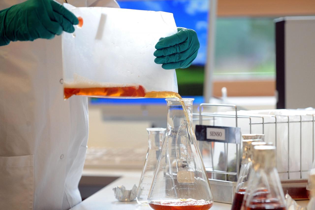 e coli, bakterija (1)