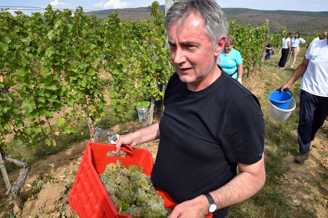 Miroslav Škoro