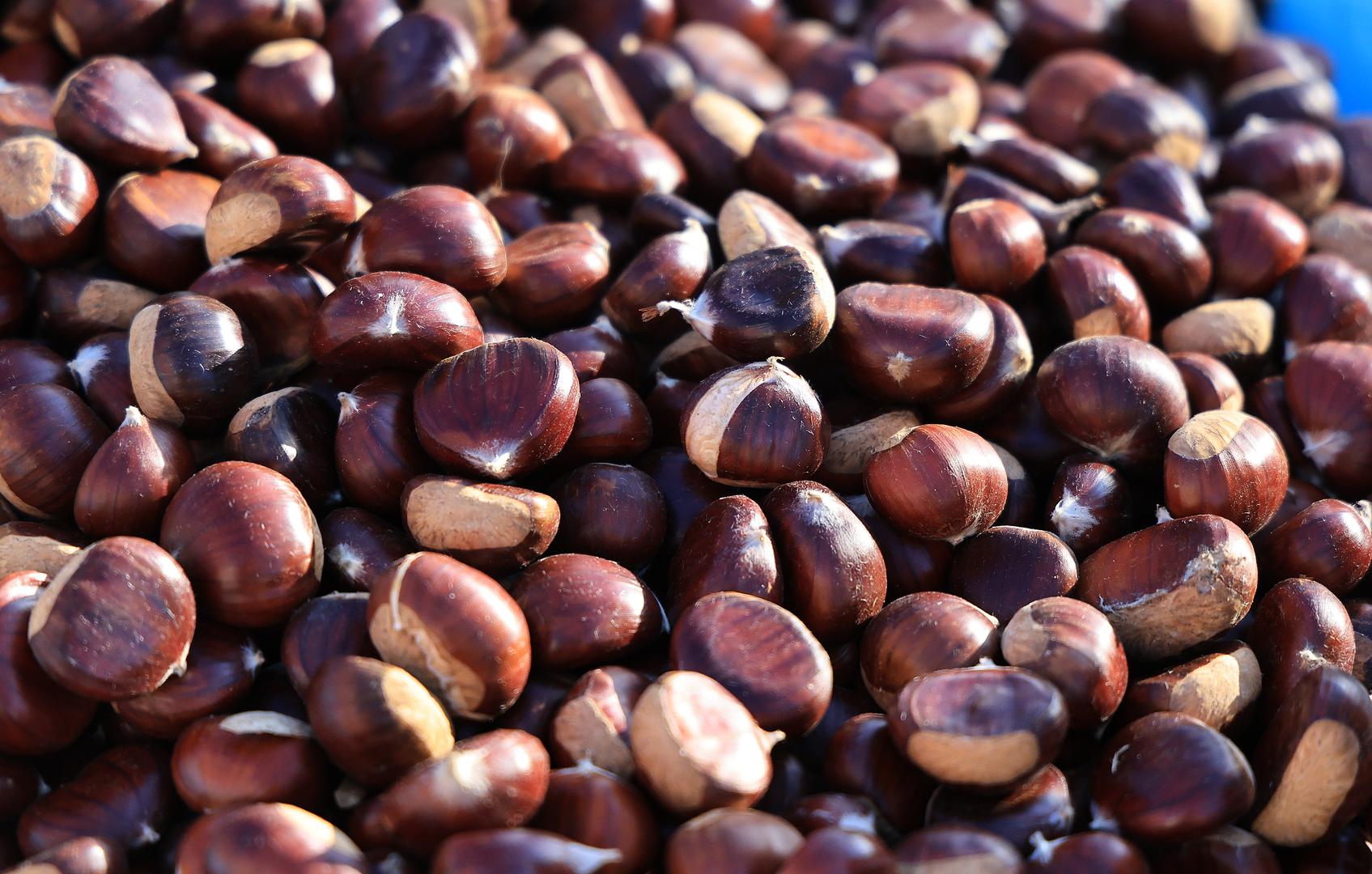 Glavna razlika leži u ukusu, veličini plodova i geografskom porijeklu, iako su obje sorte jestive i omiljene u tradicionalnoj hrvatskoj kuhinji.