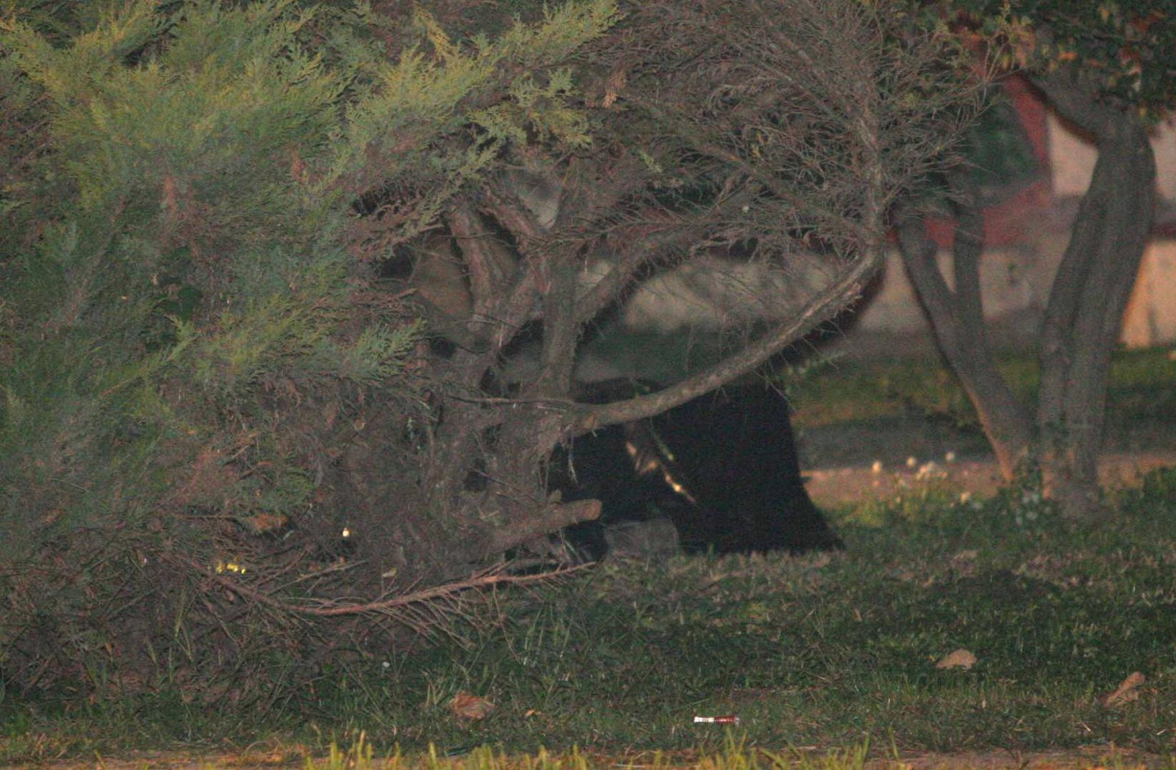 U napadu je iz automatske puške kalašnjikov pucao na svoje poznanike Miroslava Domitrovića i Renea Nemanića, koji su poginuli, dok je Pavle Ljubić teško ranjen, ali je preživio.