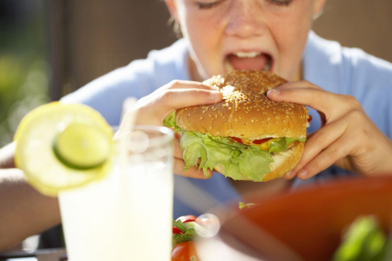 'Hamburgera....hrana....djeca...fast food... Obavezno potpisati: PHOTOS.com'