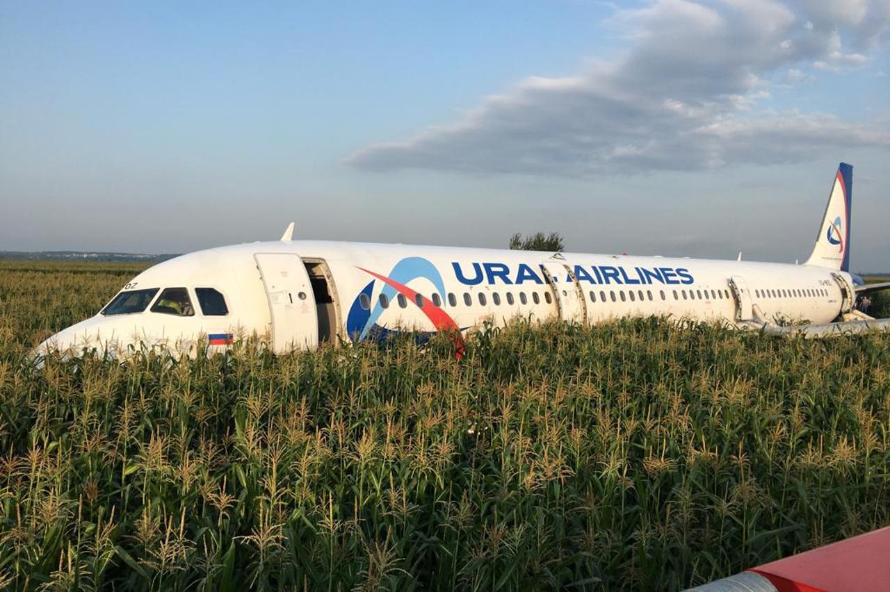Čudo u Rusiji: avion sletio u polje kukuruza