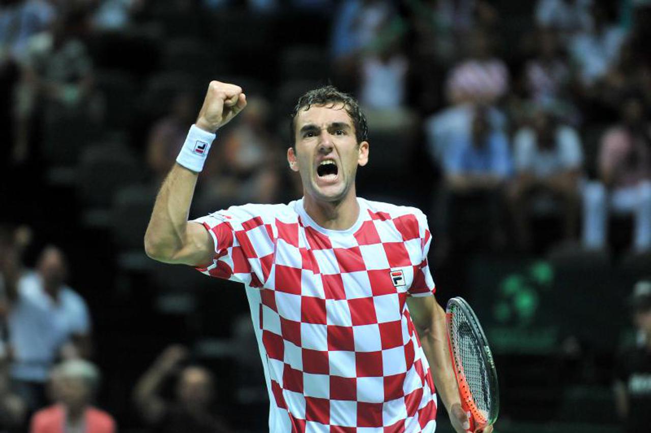 Čilić Troicki (1)