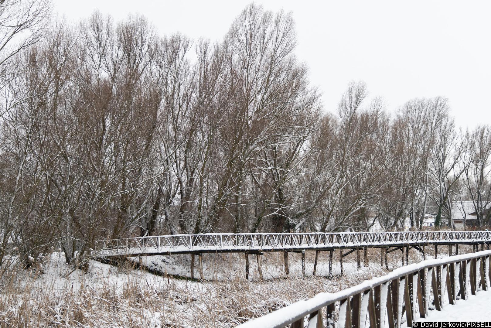 To pokazuju i ove fotografije.
