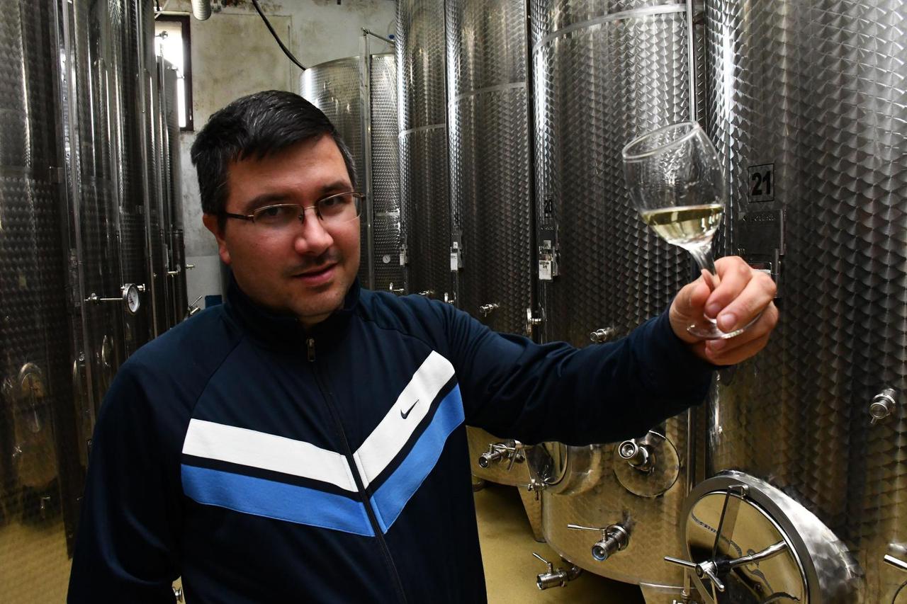 Pleternica - Enolog Franjo Markota u obiteljskoj vinariji i u vinogradu na Cesti ruza i vina.