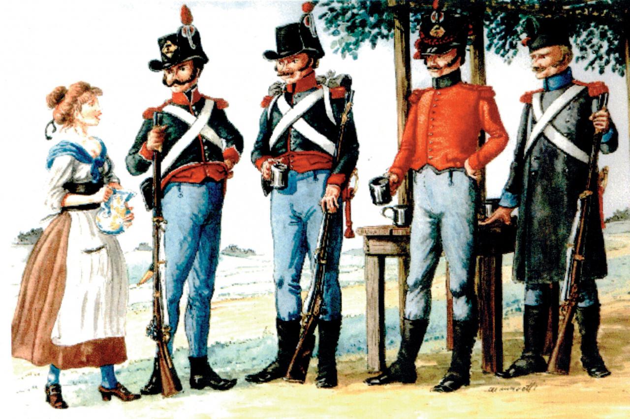 dalmatinci, napoleon (1)