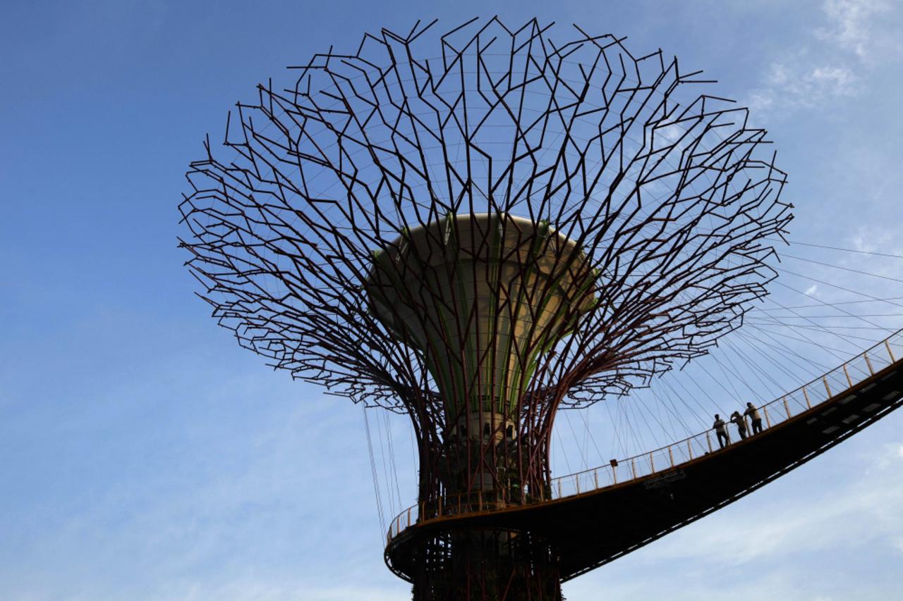 solarno drveće,singapur (1)